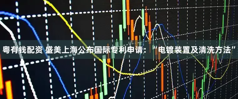 粤有钱配资 盛美上海公布国际专利申请：“电镀装置及清洗方法”